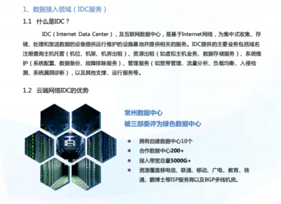 云端网络数据服务营收1.47亿 因特网接入业务的转型与价值洞察